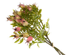 Букет шипшини декоративний 47см 820-098-1