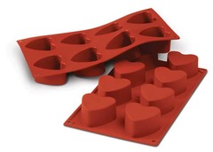 ����� ��� �������� ������ SiliconFlex SF040/C