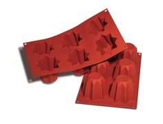 ����� ��� �������� SiliconFlex SF100/C