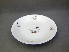 ����� �������� ������� Saphyr ���� 20��