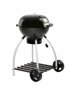 ����� �������� F50 Sport 50�� R25002