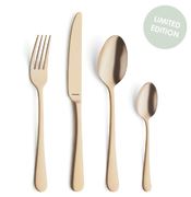 Набір столових приборів Austin Gold 6/24 1410AUTR24C40