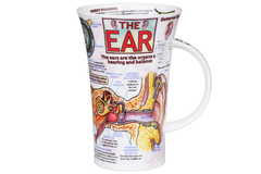 ������ Glencoe Ear 500�� 101003544