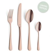 Набір столових приборів Austin Copper 6/24 F1410AETR24C40