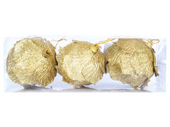 ����� ������� ������� 8�� 801-209