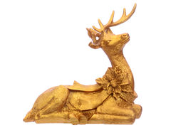 Գ����� ����������� ����� 21x12�23�� 919-268