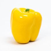 ����� ��� ����� ������ ������ 9�8�� CFB-13-1