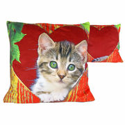 ������� ����������� ʳ� 45�45�� 021-1100