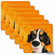 ����� ��������� ��� ������ Bernese mountain dog 10,5�10,5�� 340-3503