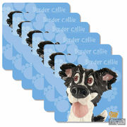 ����� ��������� ��� ������ Border Collie 10,5�10,5�� 340-3505
