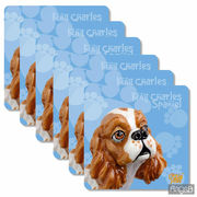 ����� ��������� ��� ������ Cavalier king charles spaniel 10,5�10,5�� 340-3509