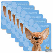 ����� ��������� ��� ������ Chihuahua 10,5�10,5�� 340-3519