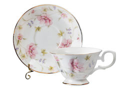 ���� ������ ����� �� �������� ����� 200�� 943-095