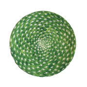 ������ ������� Cactus 23�� 5-5-1