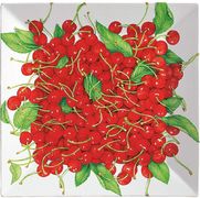 ����� ��������� Ciliegie 26�� 10-50