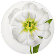 ������ ����� Freedom 27�� 1-80/3