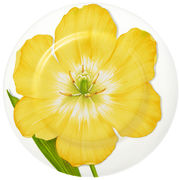 ������ ����� Freedom 27�� 1-80/4