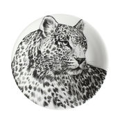 Тарелка салатная Wild Spirit 21,5см 12-1-1-С/4