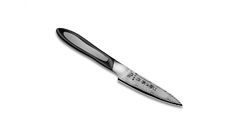 ��� ��� ������� ������ Flash 10�� FF-PA100