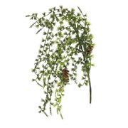 ����� ������� 80�� 240074