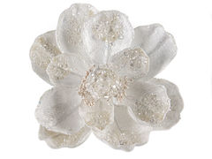 ������� ������� ����� ��� �������� 20�� 66-116