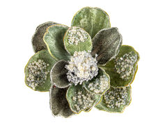 ������� ������� ����� ��� �������� 20�� 66-146