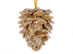 ������� ������� ����� ��� ����� 10�� 66-193