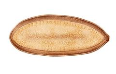 Блюдо Амазонія 43см 65026303