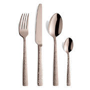 ���� �������� ������� Feliciry Rose 6/24 F3319ZZTR24C40