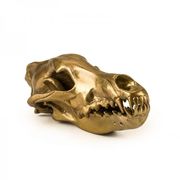Череп вовка Diesel-wolf skull 14x28х12см 10892 - в інтернет-магазині Світ посуду Череп вовка Diesel-wolf skull 14x28х12см 10892 - Світ посуду