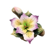 ���������� ˳�� 7,5�9�7�� 008-0034 - ��� ������