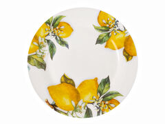 ������ ����� 25�� 858-0072