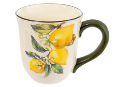 ������ ����� 550�� 858-0062