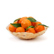 ����������� Old Gold 23�� 430240181