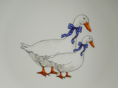 ���� ������ Saphyr ����