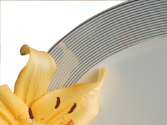 ���� ������ Yvonne ���������� �����